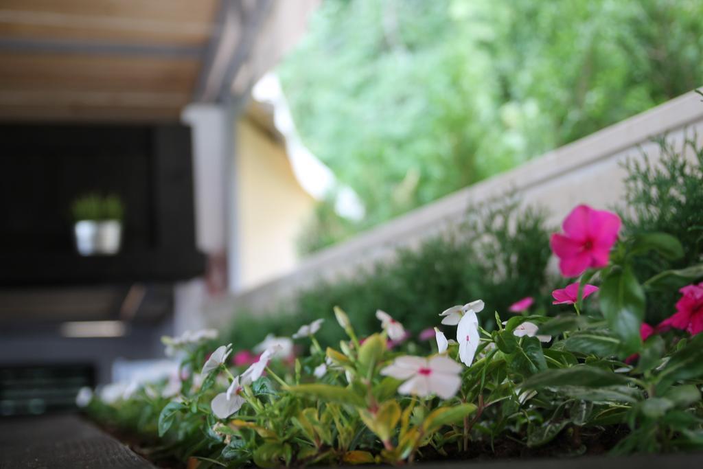 Luna Beach Hotel Golden Sands Ngoại thất bức ảnh